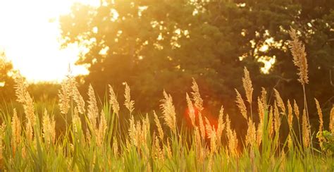 Suchon Funeral Home and Cremation Services | Plymouth, WI