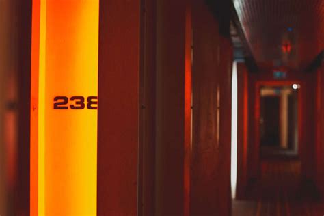 Image result for Basement Bride