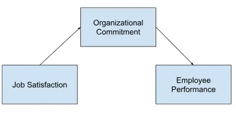 Image result for Mediating vs Moderating Variables