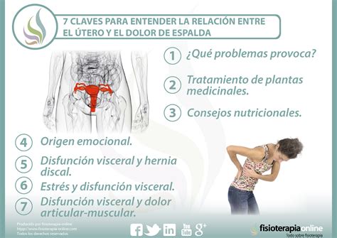 7 claves para entender la relación entre el útero y el dolor de espalda ...
