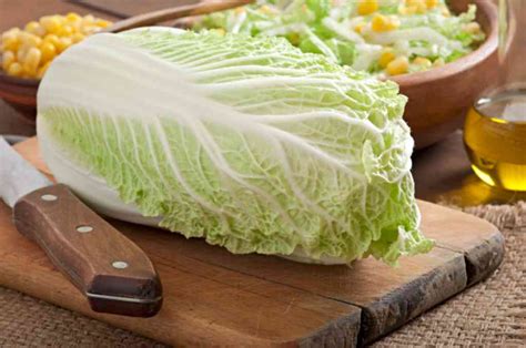 manfaat dan kandungan nutrisi alpukat