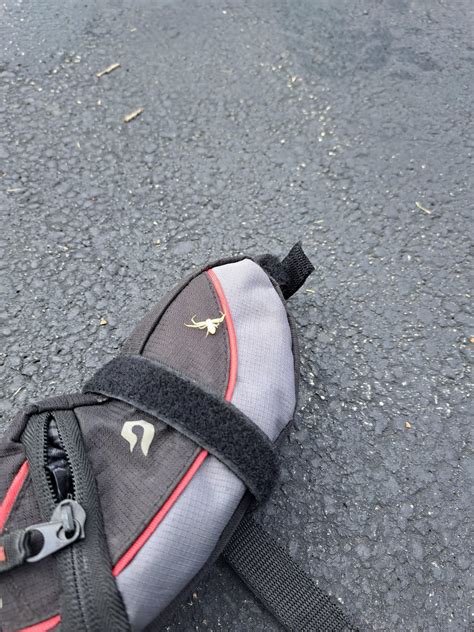 Chicago suburbs. It's glowstick green and the size ofa dime : r/spiders