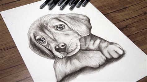 Cute Dog Head Drawing Tutorial | How to Draw a Realistic Dog | Animals ...