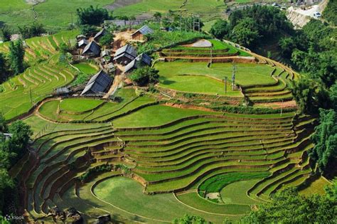 141768-3D2N Sapa Trekking Tour from Ha Noi (Accommodation included ...