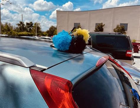 Mystery Behind Colored Loofahs on Cars in The Villages is Once Again ...
