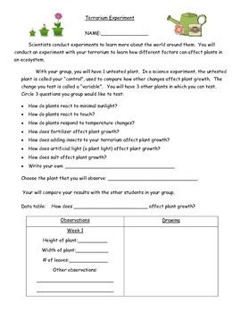 Ecosystem Project 的图像结果