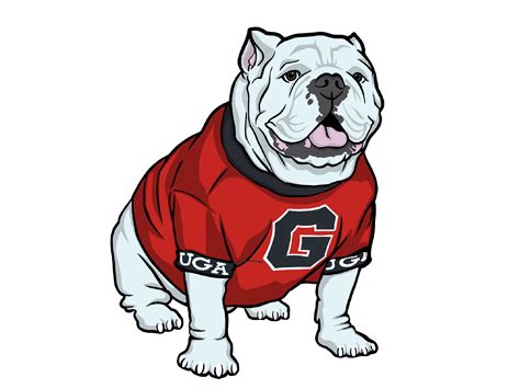 pollockandjules Shop | Redbubble | Bulldog drawing, Bulldog mascot, Uga bulldogs - painting of uga mascot