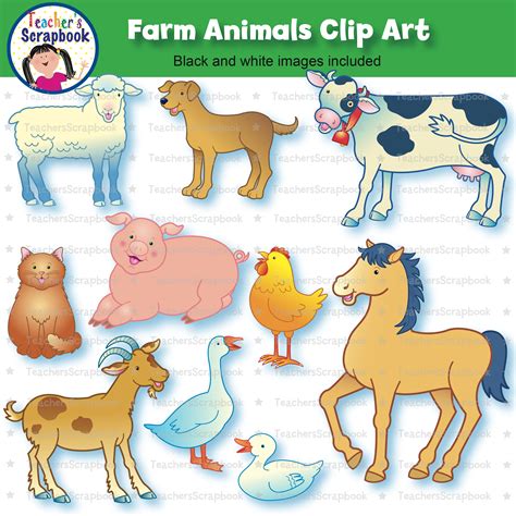 Farm Animals Png Farm Animal Silhouettes SVG Bundle Vector & PNG