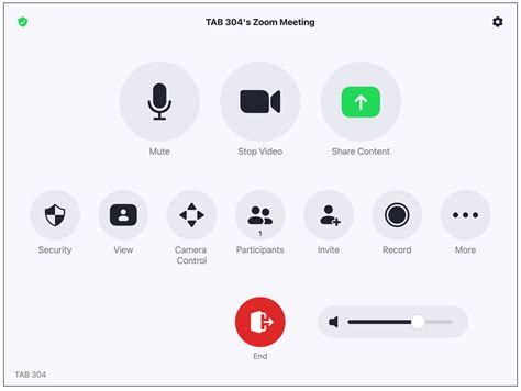 Zoom Meeting Controls Zoom Security How To Use Zoom How To Share