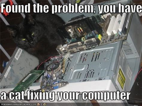 Image result for Cat Fixing Computer