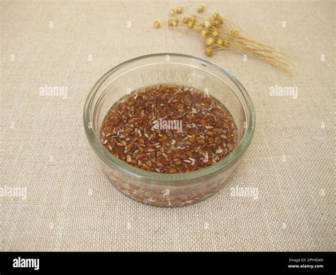 Soaked flax seeds hi-res stock photography and images - Alamy
