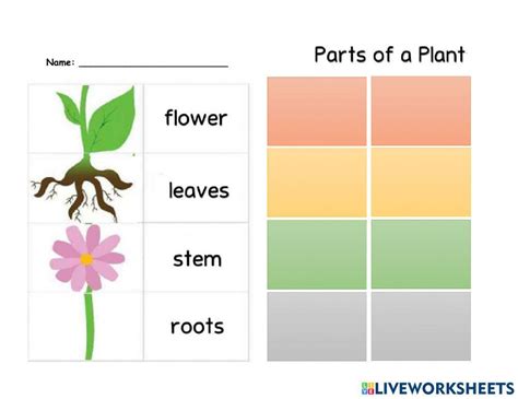 Science Worksheets 的图像结果