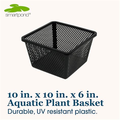 smartpond 5.25-in x 10.0-in x 10.0-in Black Plastic Pond Plant basket ...