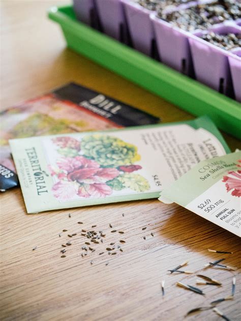A Guide to Seeds That Need Light (or Total Darkness) to Germinate - Garden Betty
