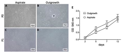 IJMS | Special Issue : Biological Basis of Musculoskeletal Regeneration ...