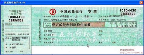 中国农业银行支票2011版打印模板 >> 免费中国农业银行支票2011版打印软件 >>
