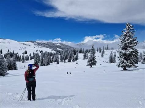 Gestalt praktikum 2: Prvi intervju - postavljanje terapijskih ciljeva ...