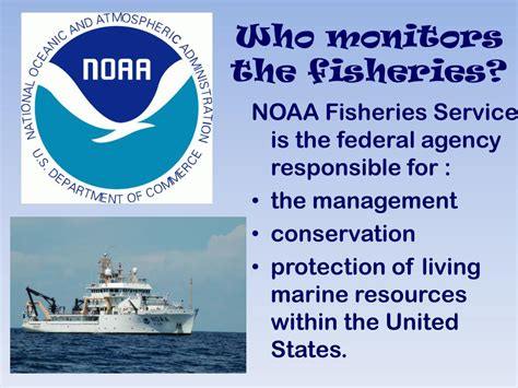 Fisheries 的图像结果