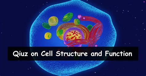 Cell Structure and Function 的图像结果