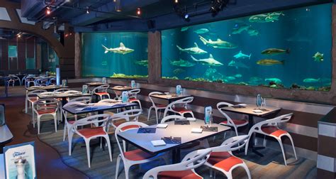 Underwater Aquarium Restaurant Florida at Walter Paul blog