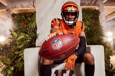 Projects — Urban Blooms