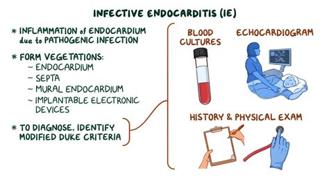 Endocarditis Infecciosa Infective Endocarditis: What It Is, Symptoms