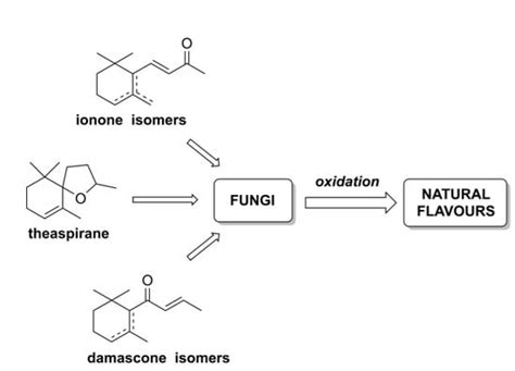 Fungi-Mediated Biotransformation of the Isomeric Forms of the ...