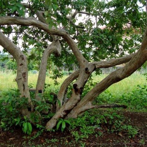 Della Luxury Products | Iconic Projects Design, Manufacturing & Built