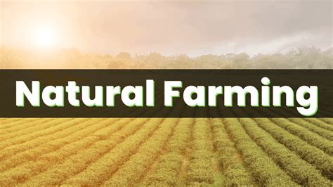 Natural Farming Methods 的图像结果