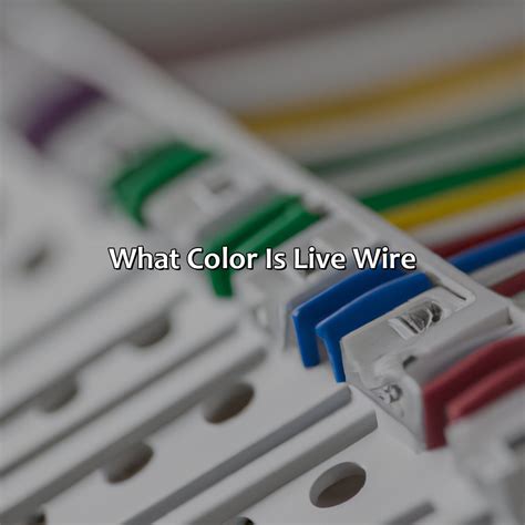 What Color Is Oil Supposed To Be - colorscombo.com