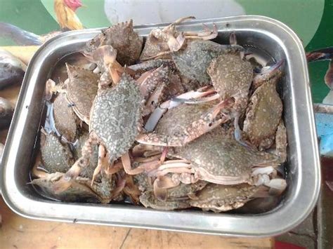 Menu at Jose Thoothukudi Sea Fish Market, Coimbatore