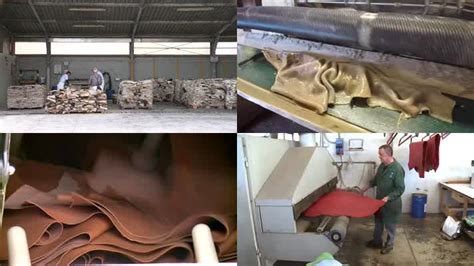 揭秘夺命皮革厂，90%工人活不过50岁，环境恶劣但皮革优质