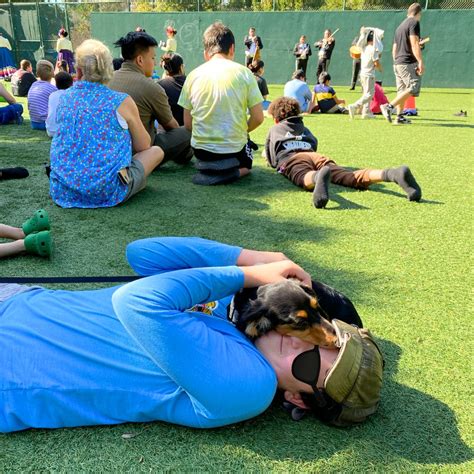 #therapydogs #neurodivergentsupport #estherbclarkschools #chc # ...