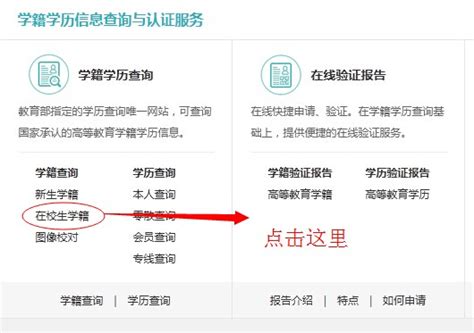 如何下载学信网学历电子注册备案表_湖南成考网