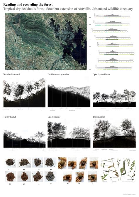 A | One Forest | CEPT - Portfolio