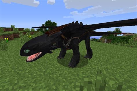 Image result for Dragon Mods Minecraft Java
