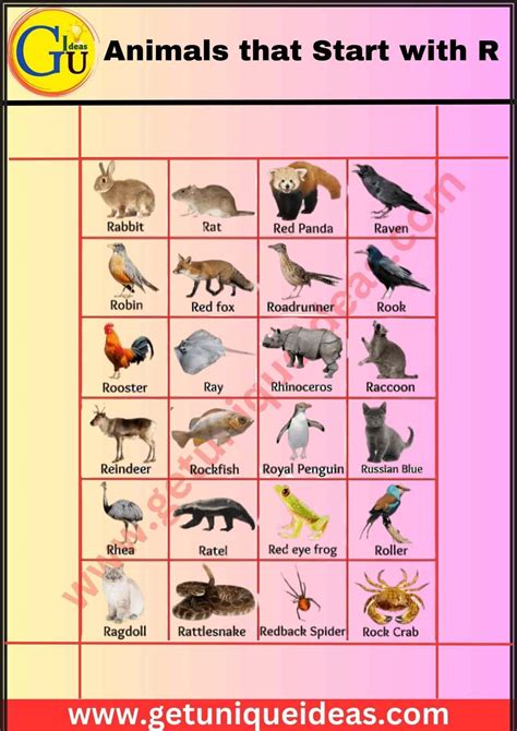 List of 100+ Animals that Start with R: Pictures, Facts - GetUniqueIdeas