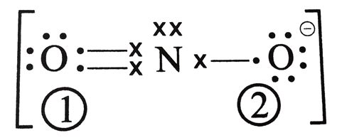 Nitrite Ion Lewis Structure
