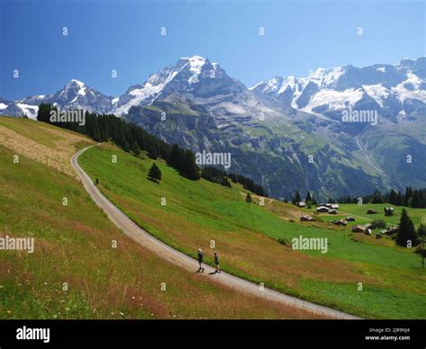 Blumental valley walk, Murren, Bernese Oberland, Switzerland Stock ...