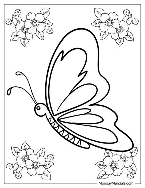 Colouring Butterfly Coloring Printable Pages Butterflies Adult Sheets ...