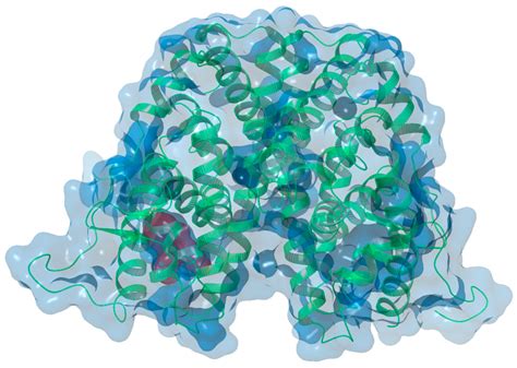 In Silico Design of Dual Estrogen Receptor and Hsp90 Inhibitors for ER ...