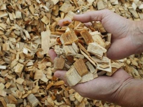 Ecologists inform about a possible harm from wood chips combustion ##f ...