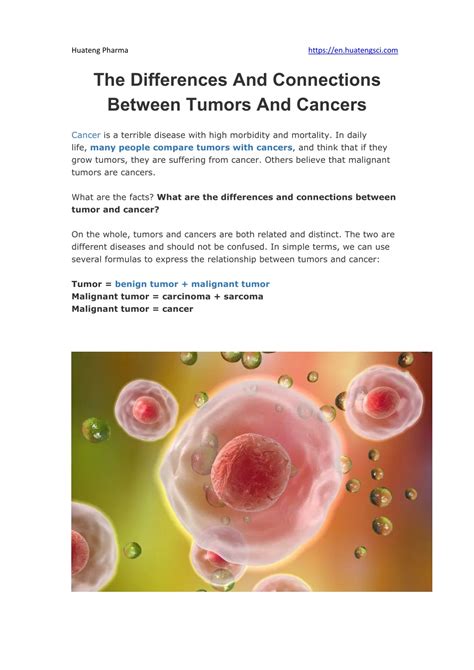 PPT - The Differences And Connections Between Tumors And Cancers PowerPoint Presentation - ID ...