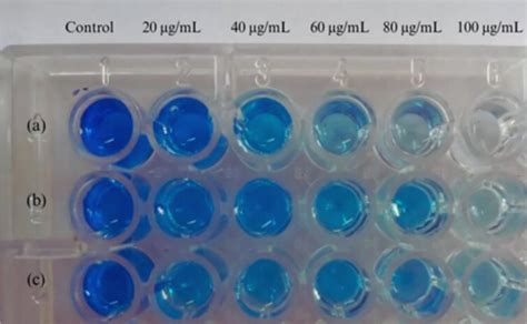 Latest Marine Biology News