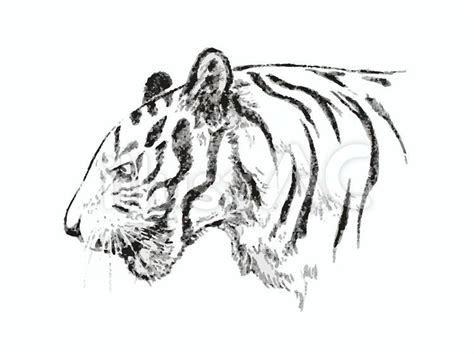 Image result for Custom CSS File