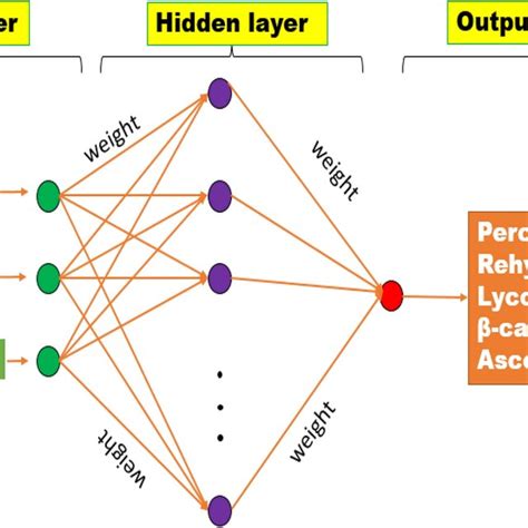 Ai Computer Model 的图像结果
