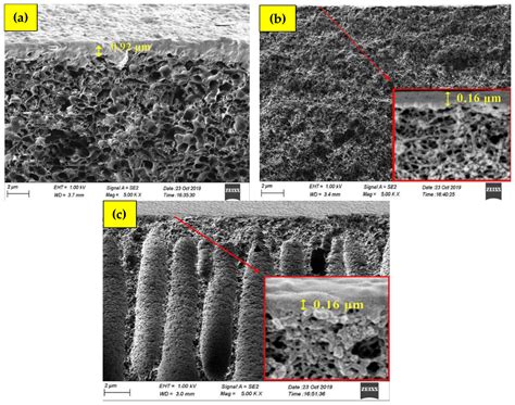 Diamine-Crosslinked and Blended Polyimide Membranes: An Emerging ...