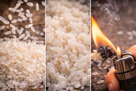 Plastic rice: Myth or reality? How to identify real rice