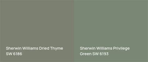 Sherwin Williams Dried Thyme SW 6186: 13 real home pictures