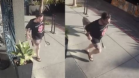 Pitbull Terrier Attack Videos